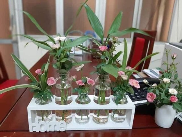 SÉT 5 BÌNH HOA THUỶ TINH KÈM KHUNG GỖ CHỮ HOME