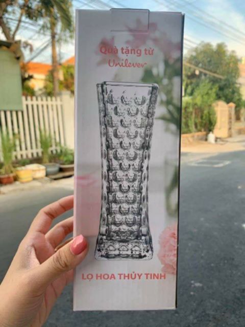 Lọ hoa thủy tinh kích thước 25cm ×8cm