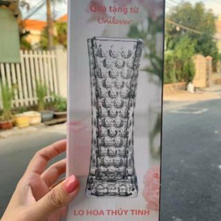 Lọ hoa thủy tinh kích thước 25cm ×8cm
