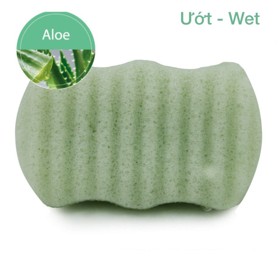 Bông tắm konjac từ khoai nưa tự nhiên, mềm mại, an toàn, dịu nhẹ, nâng niu làn da bạn