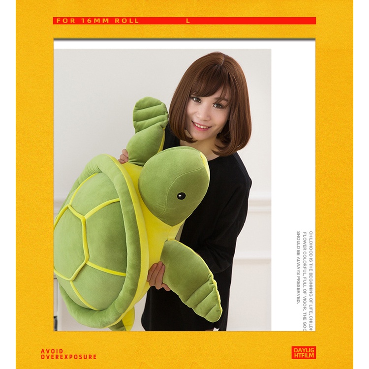 Gấu bông teddy bear hình con rùa, rùa bông màu xanh gấu bông cao cấp Nằm sấp đọc sách Con gái Quà tặng sinh nhật ngày lễ