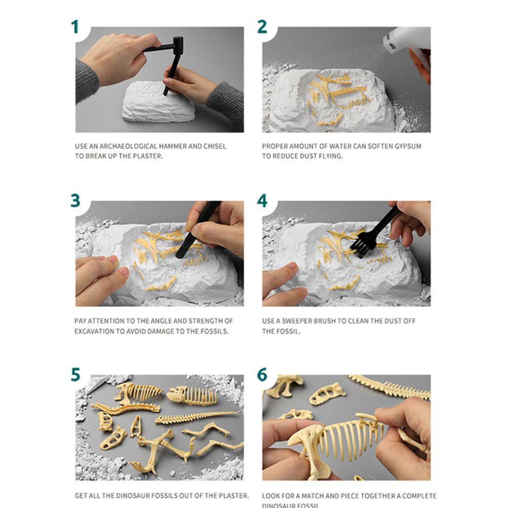 Mô Hình Bộ Xương Khủng Long 3D Độc Đáo Giáo Dục Cho Bé