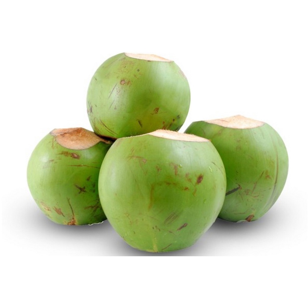Dừa Xiêm Bến Tre ngọt lành nhiều nước - Giao Siêu Tốc 1h