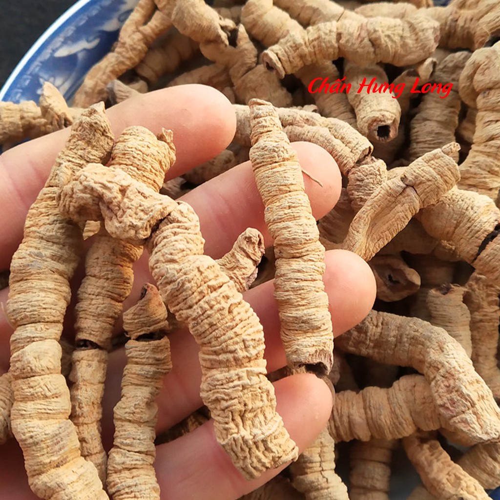 Ba Kích tím bỏ lõi 100g - Bổ Thận - Ngâm rượu, sắc thuốc - Trà thảo mộc Daystea