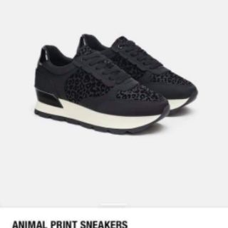 Giầy xuất size 40