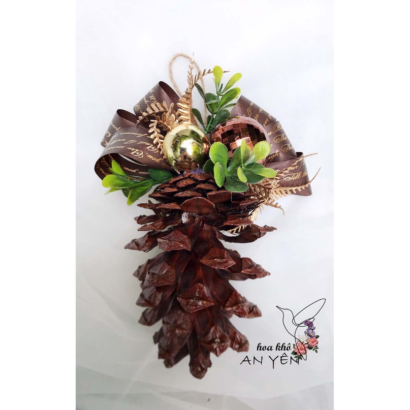 TRÁI THÔNG TRANG TRÍ NOEL