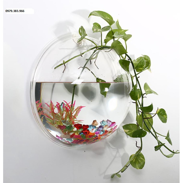 size 15cm Chậu hoa bể cá treo tường bằng nhựa thủy tinh rất đẹp trồng cây thủy sinh trong nhà ngoài sân