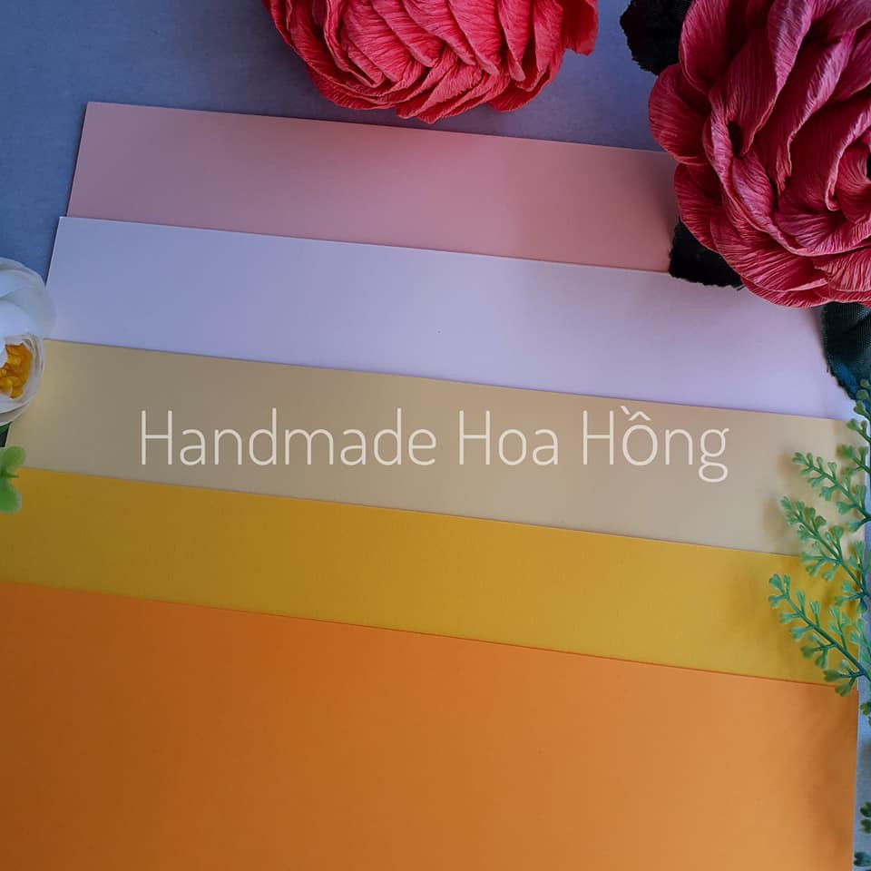 10 tờ giấy 5 màu khác nhau, định lượng 160gsm &amp; 180gsm - GIẤY làm hoa, thiệp, phong thư, bao lì xì, handmade