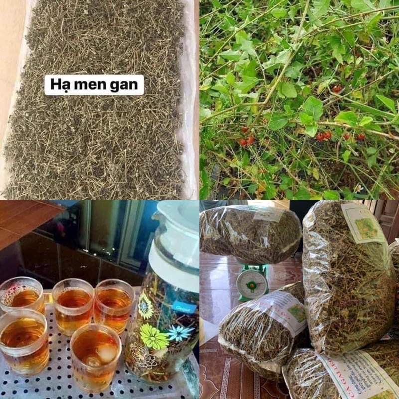 DÂY CÀ GAI LEO PHƠI KHÔ 1KG