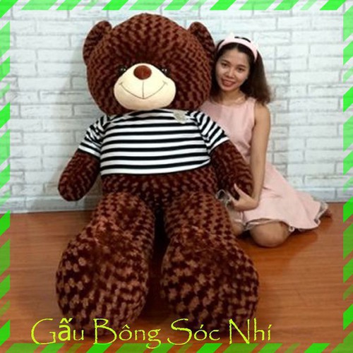 [Mua 1 Tặng 1] Gấu Bông Teddy Size 1m6 FREESHIP Gấu Bông Sóc Nhí - Mua 1 Gấu Bông Teddy Tặng 1 Gấu Bông Trà Sữa - PK04ZM