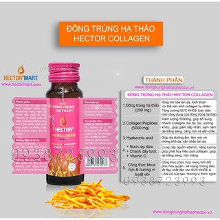 ✅Nước Uống Hector Collagen (MỚI)✅ - Combo 50ml x 20 Chai giúp LÀN DA trắng sáng, Trẻ hóa & tăng cường sức khỏe toàn diện