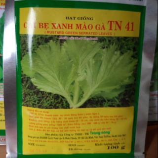 Hạt giống cải bẹ mào gà Tn41