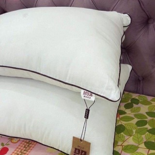 ruột gối muji(2 chiếc)