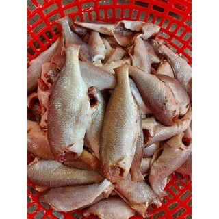 Khô lù đù size nhỏ