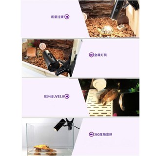 Combo Đèn Sưởi UVA+UVB 3.0 [ Dành cho Bò Sát, Chó, Mèo, Cá Cảnh, Hamster]