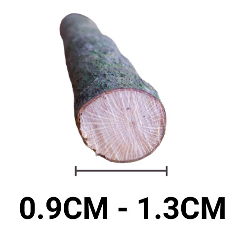 Bó 5 cành khô tự nhiên chọn đường kính decor trang trí 10-15cm