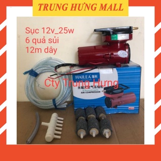 Combo máy thổi khí, sục khí oxy hồ cá cảnh 12v-25w + 6 quả sủi + 12m dây