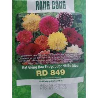 Hạt giống hoa thược dược nhiều màu