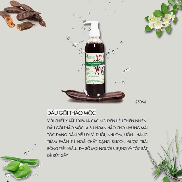 DẦU GỘI THẢO MỘC SÓC CON