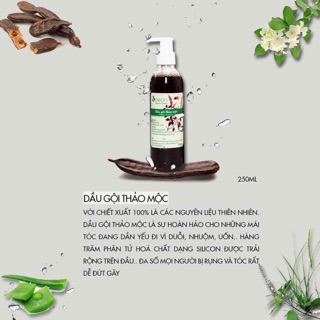 Dầu gội thảo mộc sóc con