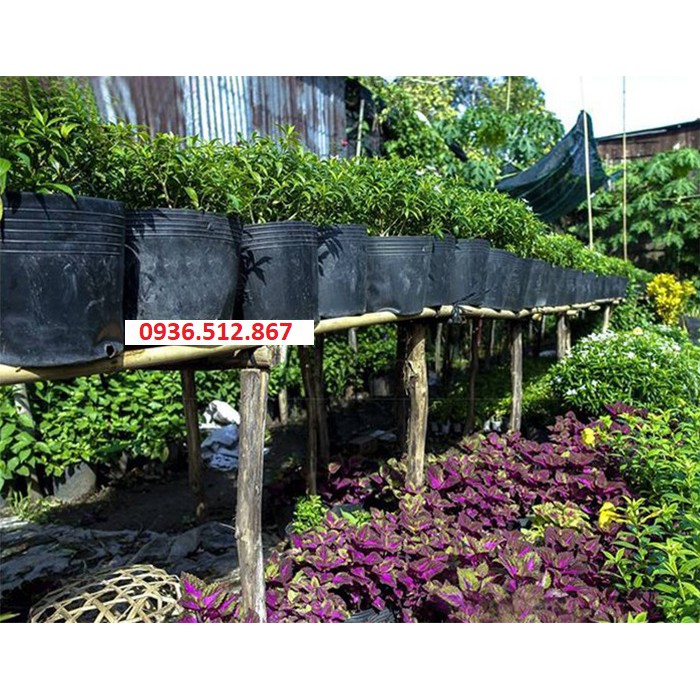 [Giá Rẻ Bất Ngờ] Chậu nhựa đen 23x18 trồng - ươm cây Loại Dày- Dẻo-Bền