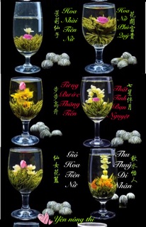 Trà Nở Hoa 16 bông