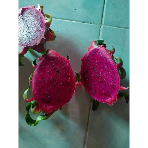 thành Long ruột đỏ 1kg