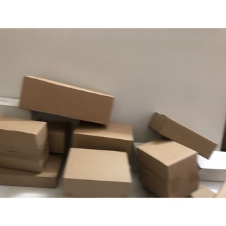 Hộp carton 20x15x15, số lượng 45 hộp _Thanhnha