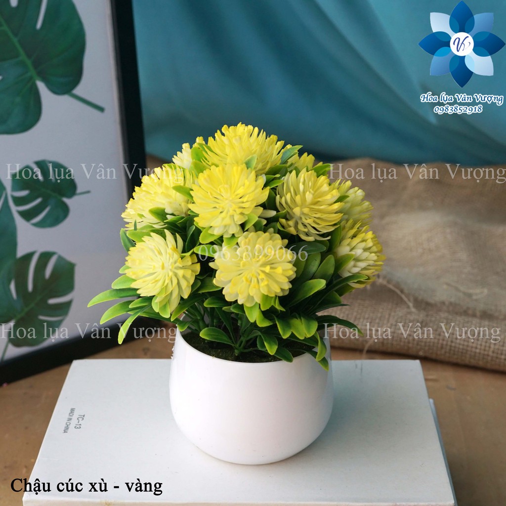 Hoa Giả 🌺FREESHIP🌺 Chậu Hoa Nhựa Để Bàn
