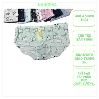 combo 5 QUẦN SU BÔNG THÔNG HƠI 215S (kho sỉ đồ lót)