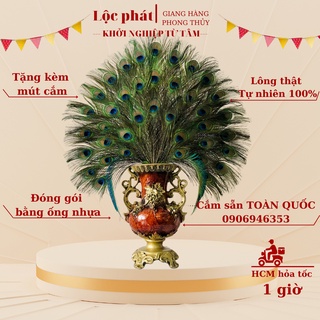 COMBO 10 lông công tự nhiên phong thủy Lộc phát dài 80-90cm