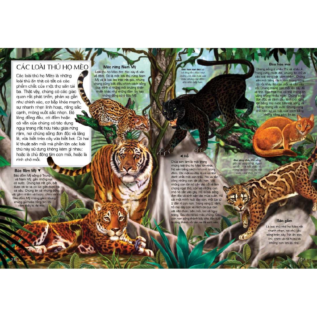 Sách - Tủ Sách Tri Thức Bách Khoa Bằng Hình - Thế Giới Động Vật (Tái Bản 2018) Tặng Kèm Bookmark