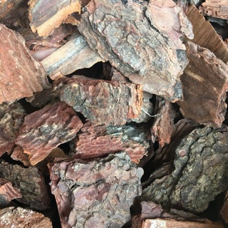 Vỏ thông trồng lan loại đẹp, đều, không vụn 1kg size to