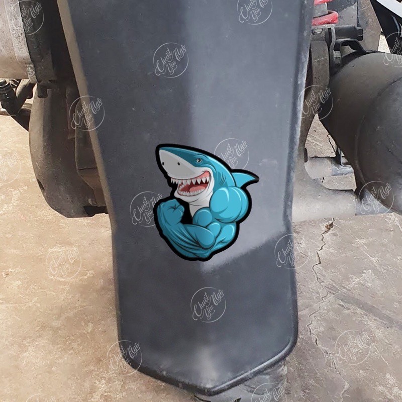Bộ tem decal chống nước hình dán xe Hàm Răng Cá Mập NT 53