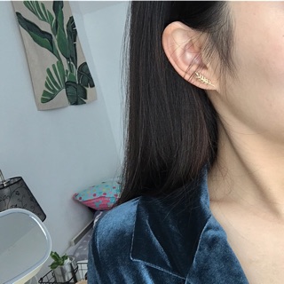 hoa tai leaf