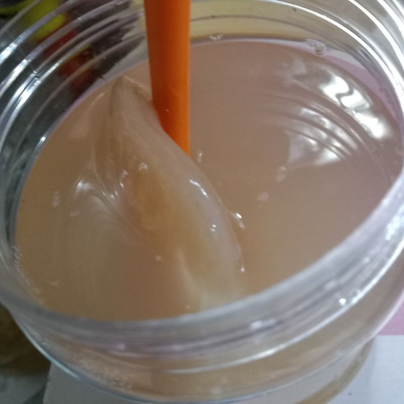 Giấm Nuôi + con Giấm