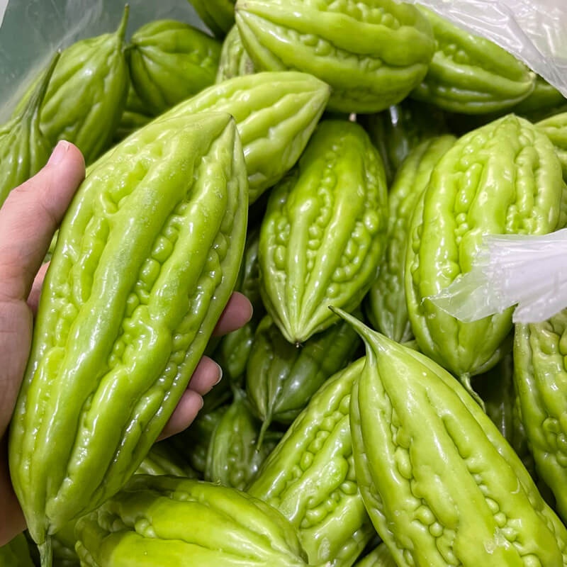 Hạt giống Khổ qua TN-08