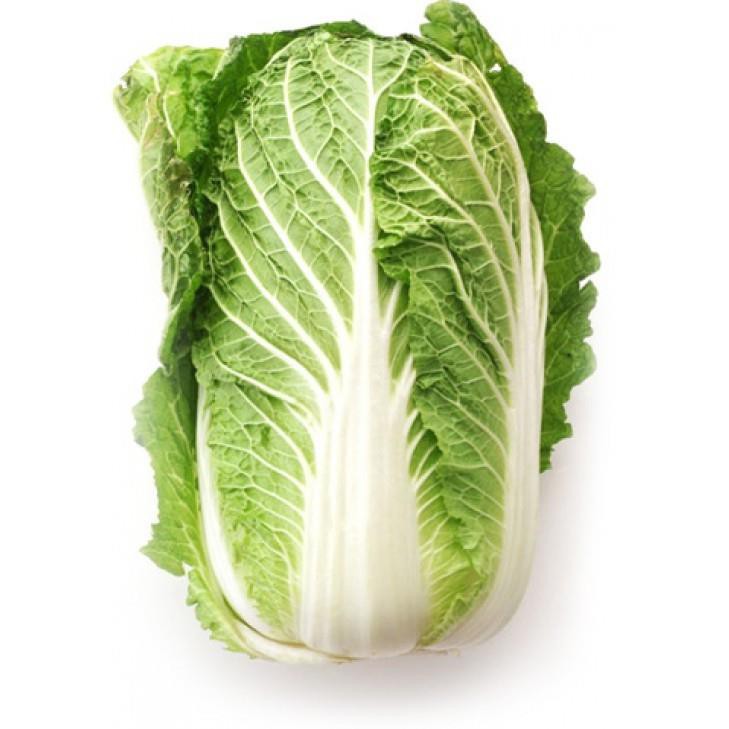 HẠT GIỐNG CẢI THẢO (NN304) - 1G