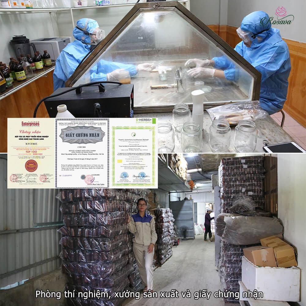 Bộ chế phẩm sinh học Guard sạch bọ trĩ, nhện, sâu, bệnh gồm dầu neem oil, nấm trichoderma, nano bạc đồng cho cây cảnh