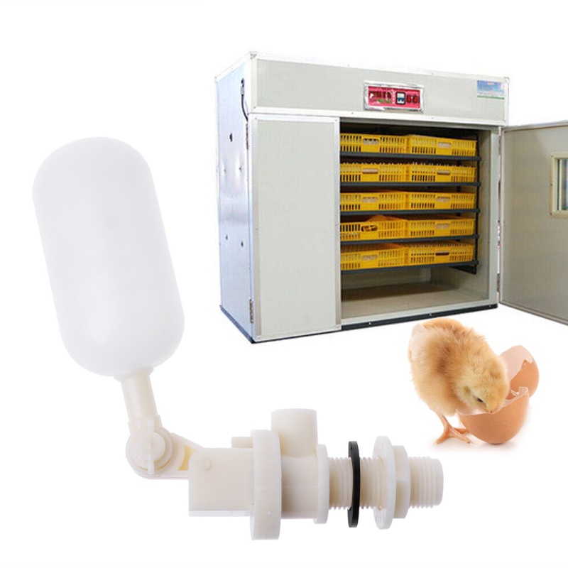 Bộ 1 / 2 Van Nổi Có Thể Điều Chỉnh Cho Bể Nước / Ngựa / Cừu / Cừu