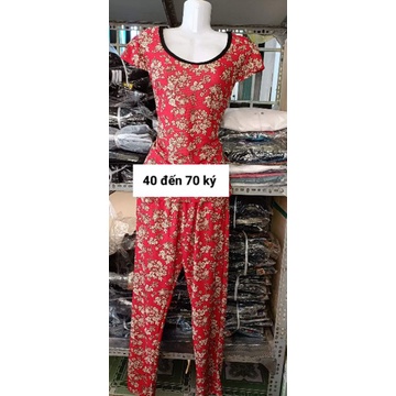 Bộ tay con quần dài thun cát thái chéo