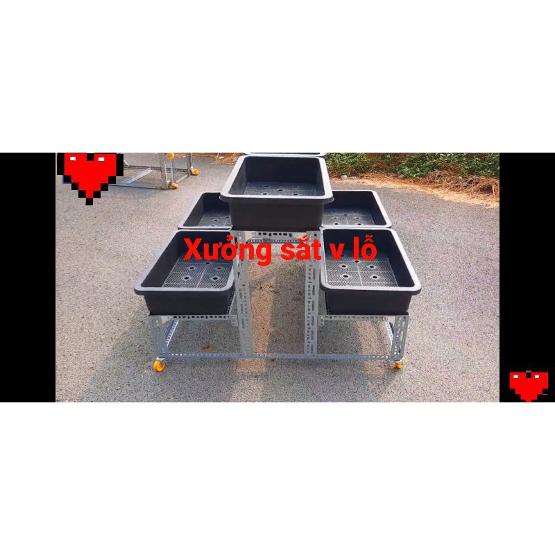 Kệ sắt v lỗ trồng rau Thông Minh 2 Tầng 6 khay  bao chắc 🥰