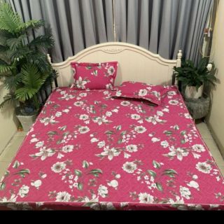 Thanh lý chun trần 100% cotton HÀN QUỐC ko vỏ gối