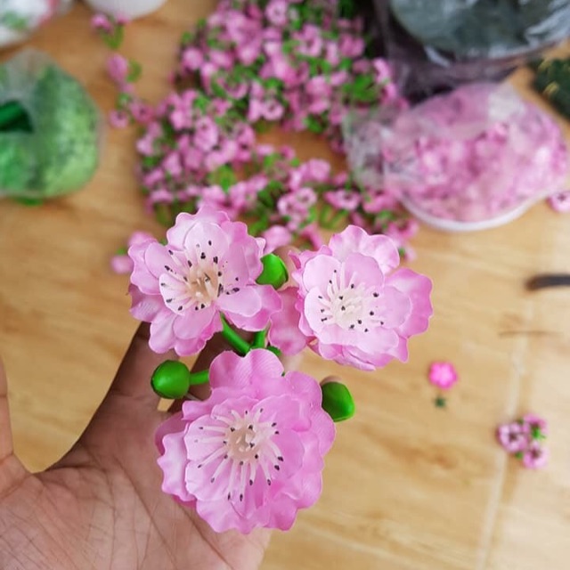 Combo hoa đào