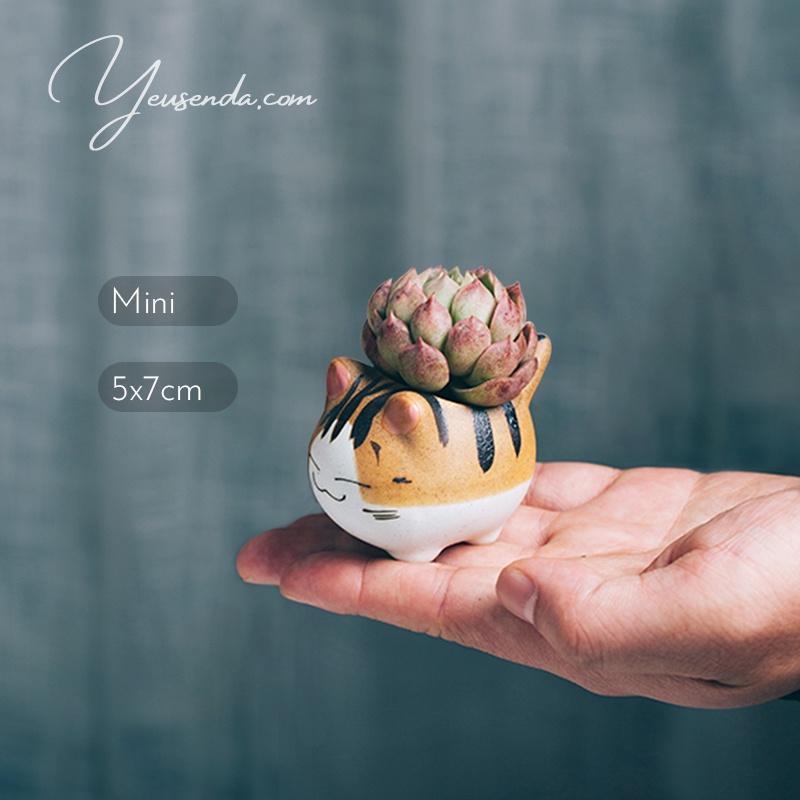 Chậu cây mini trồng Sen đá 5x7cm Mèo con đáng yêu (Gốm)