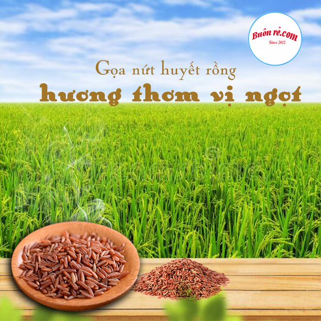 (1KG) Gạo lứt huyết rồng thơm ngon, dẻo mềm - Đặc sản Tây Bắc 01375