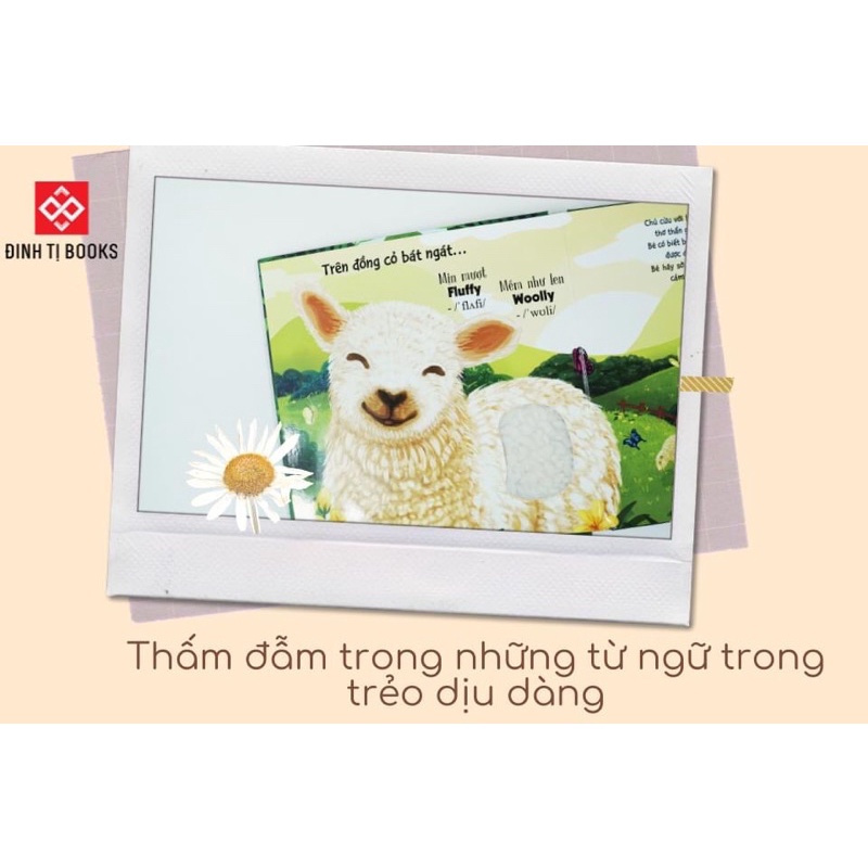 Sách cho bé - Touch and Feel - Sách Sờ chạm khám phá - Thế giới động vật - Bốn mùa tươi đẹp