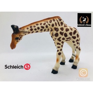Mô hình động vật , đồ chơi con vật Schleich chính hãng Hươu cao cổ cúi đầu 14149 - Schleich House