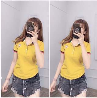 Áo thun thái cổ bẻ