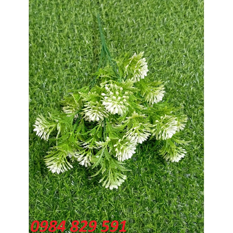Cụm điểm hoa đá